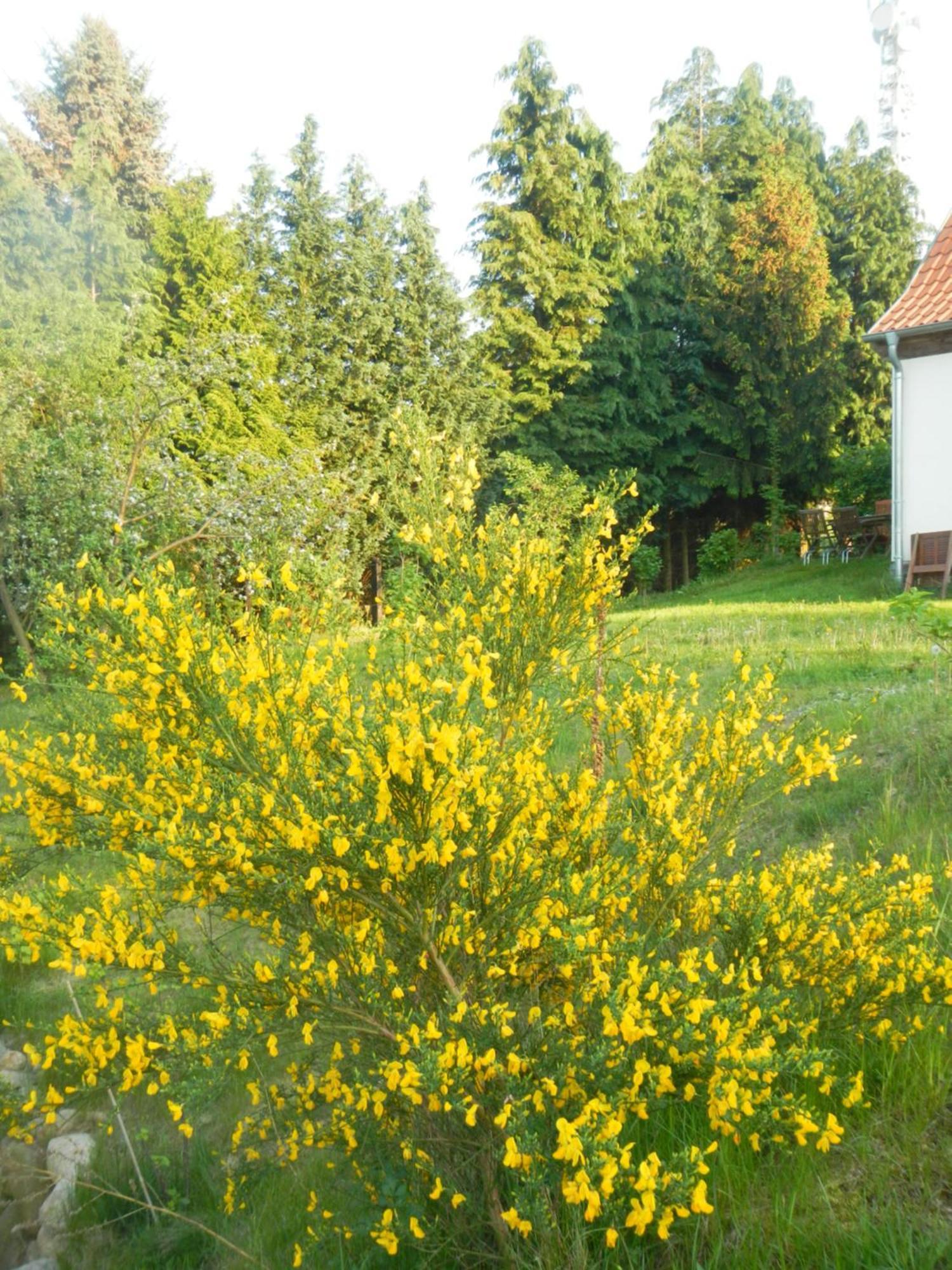 Ferienlandhaus Zempow ภายนอก รูปภาพ