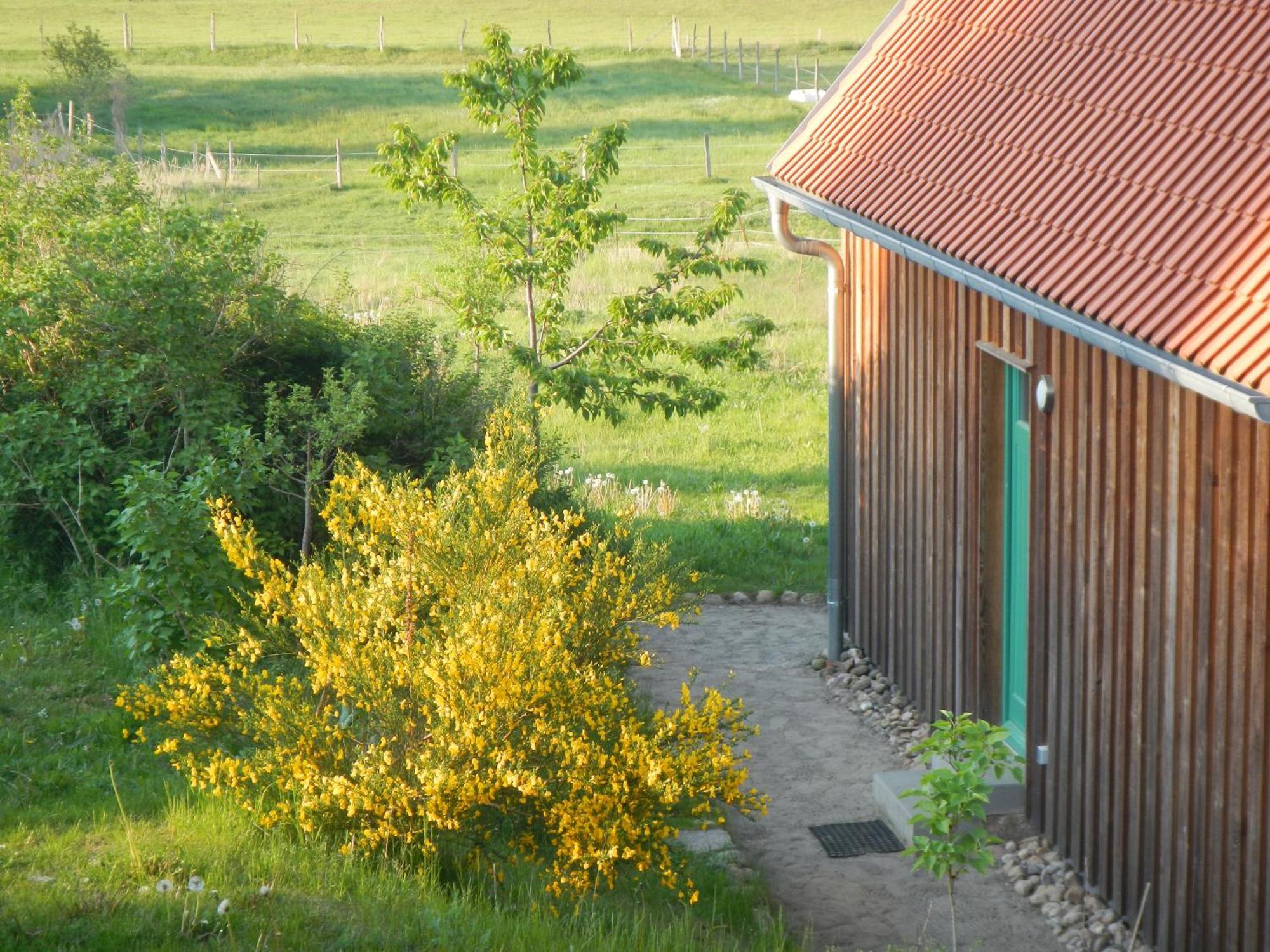 Ferienlandhaus Zempow ภายนอก รูปภาพ